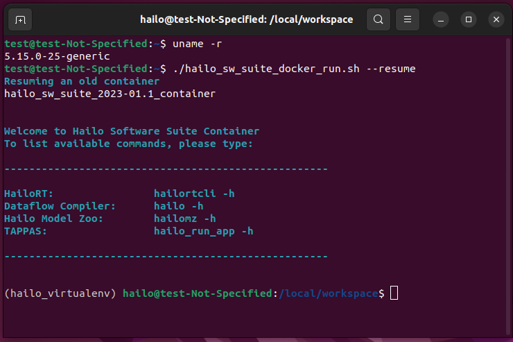 Image:execute_hailo_container.png